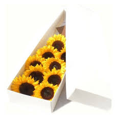 30 Girasoles en Caja